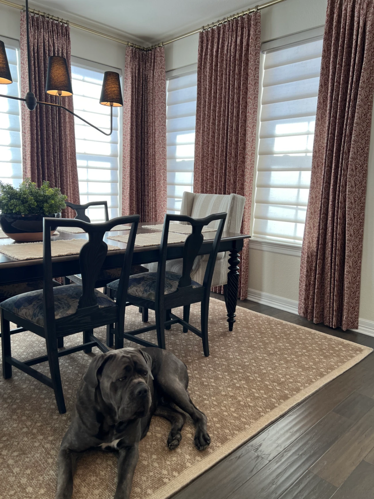 Elegant drapery installation in a modern living room