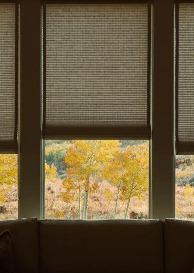 Double cell honeycomb shades half lowered in a warm Front Range living room with aspens and light frost outside