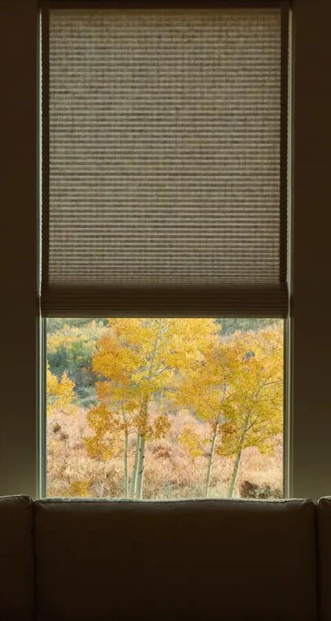 Double cell honeycomb shades half lowered in a warm Front Range living room with aspens and light frost outside