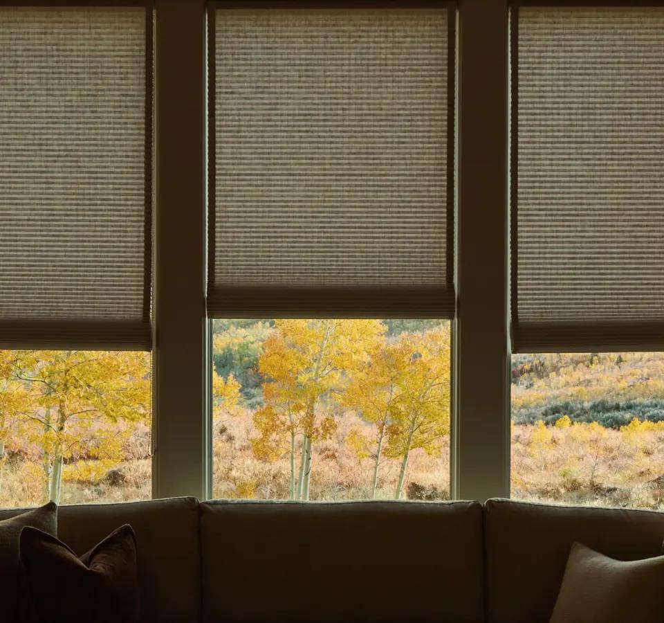 Double cell honeycomb shades half lowered in a warm Front Range living room with aspens and light frost outside