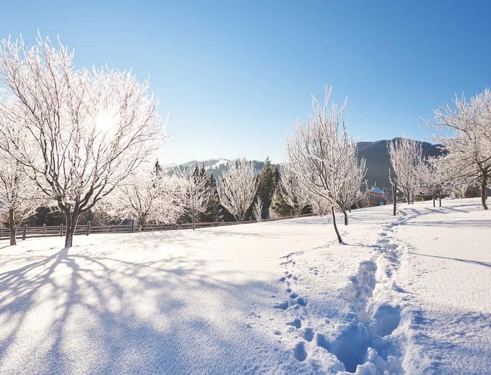 Snow covered trees and mountains line a bright winter landscape